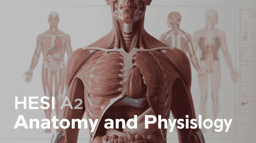 Human anatomy diagram with highlighted organs and physiology flowcharts, representing applied prep for HESI A2 Anatomy and Physiology exam.
