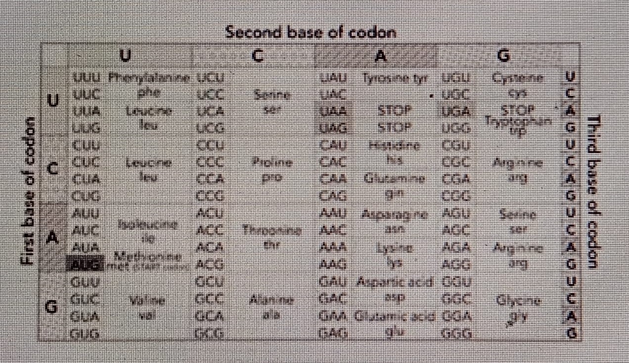 Diagram for question