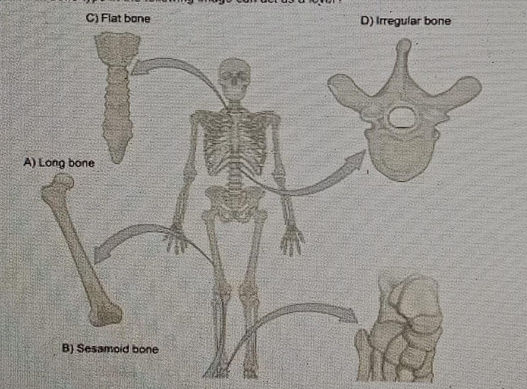 Diagram for question