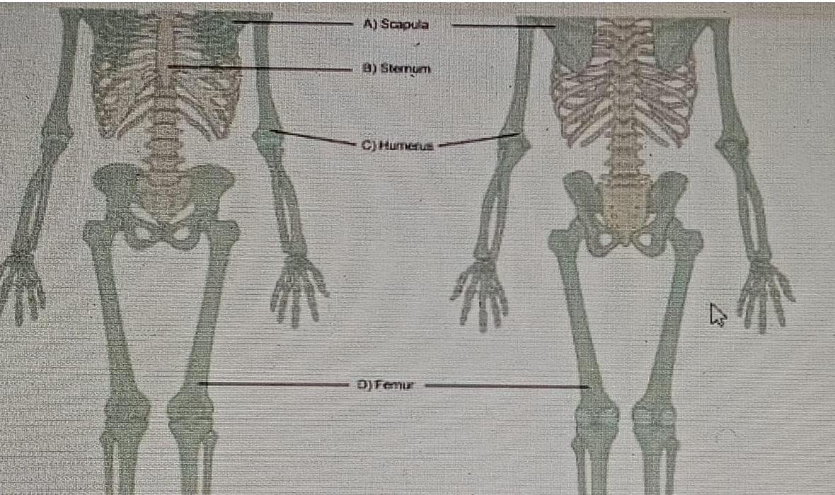 Diagram for question