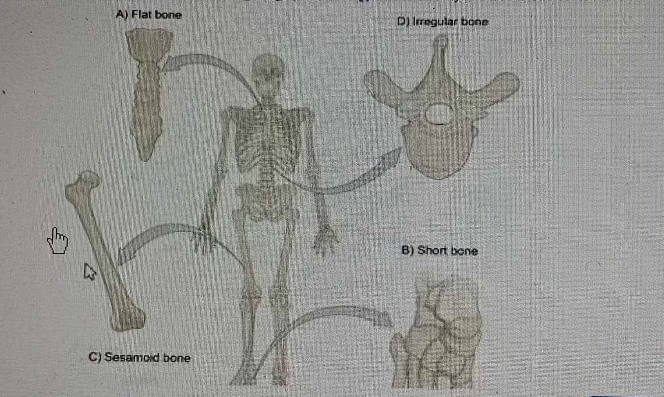 Diagram for question
