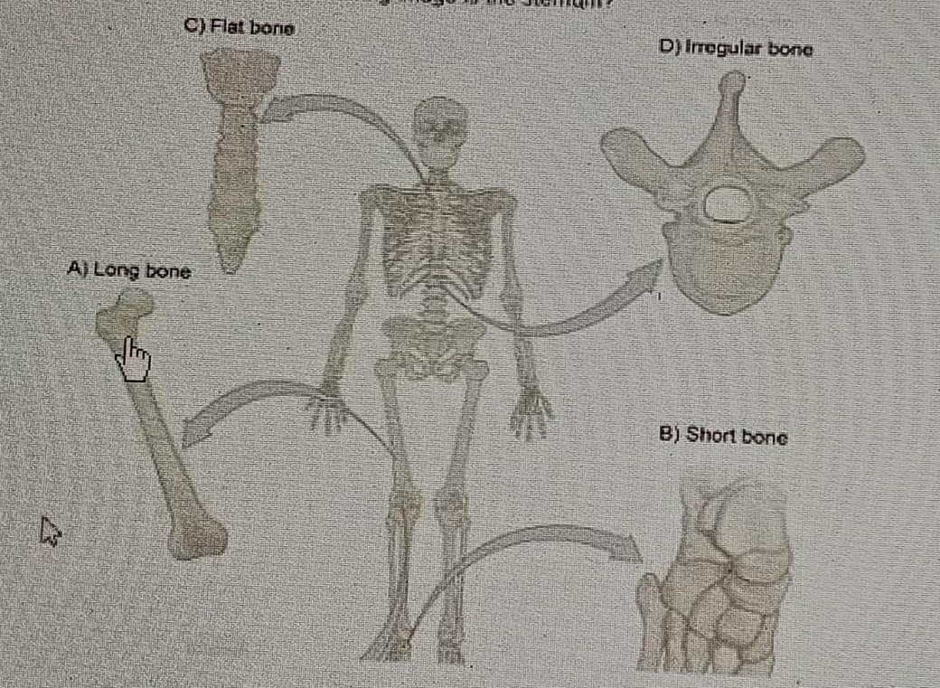 Diagram for question