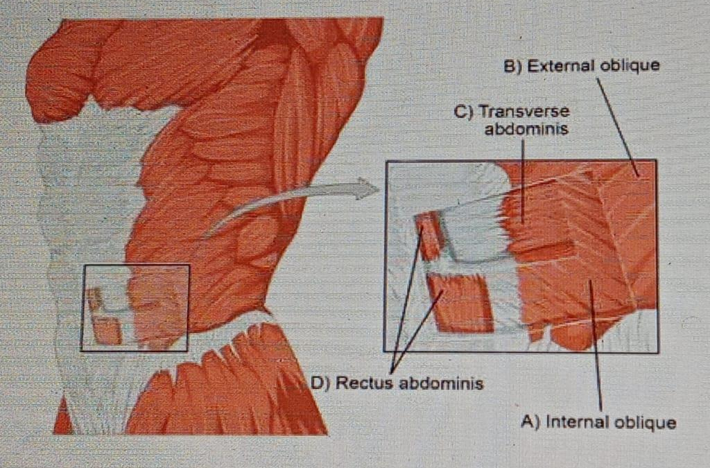 Diagram for question