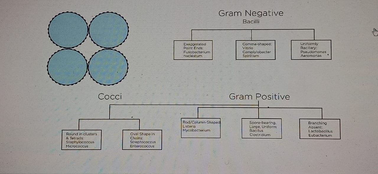 Diagram for question