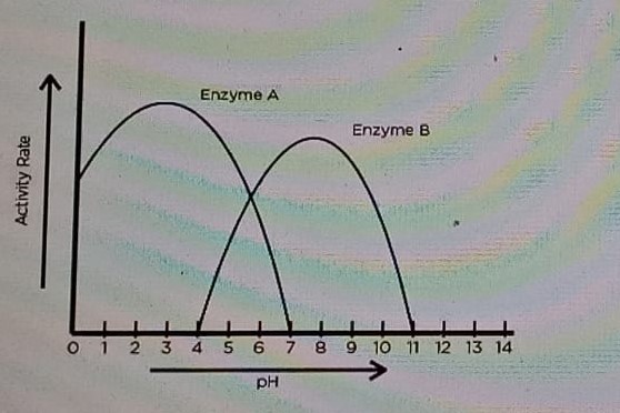Diagram for question