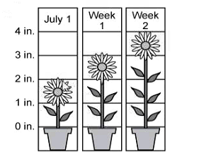 Diagram for question