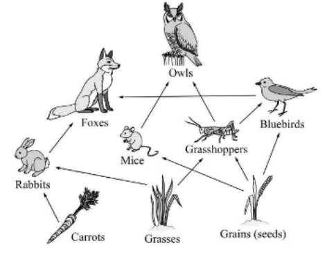 Diagram for question
