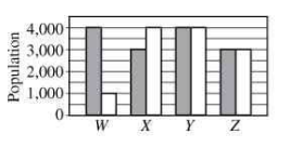 Option B