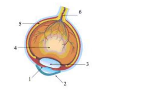 Diagram for question