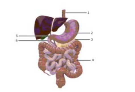 Diagram for question