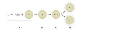 Diagram for question