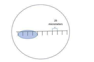 Diagram for question