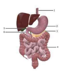 Diagram for question