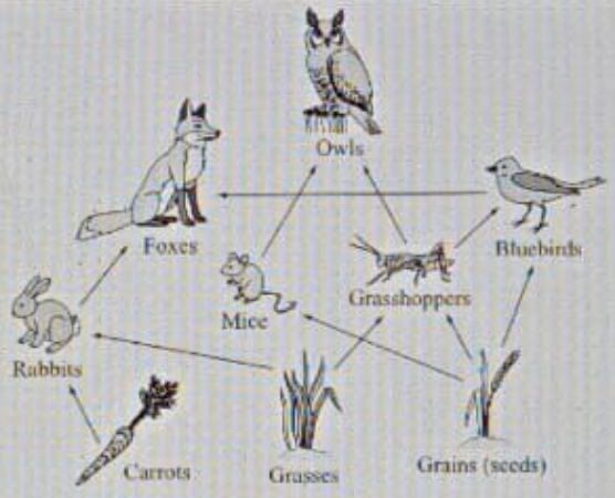 Diagram for question