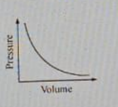 Option C